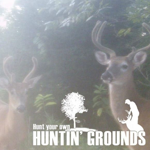 Meet your Posher, Yolandi - Picture 1 of 1